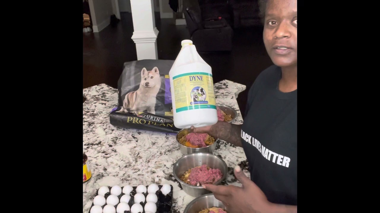 Raw feeding American bullies