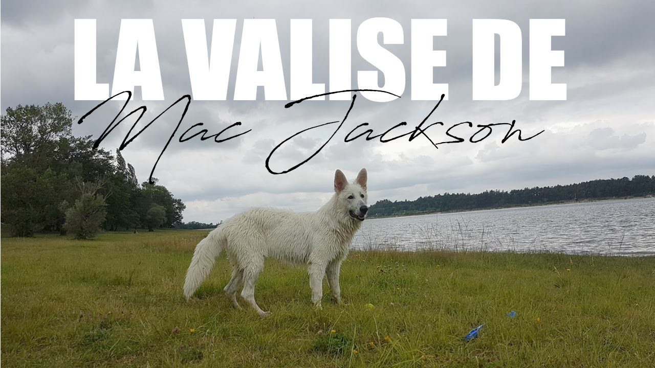 Mon chien en vacances : La valise de Mac Jackson !