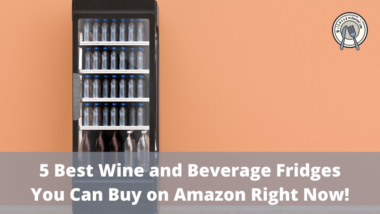 5 Best Wine and Beverage Fridges You Can Buy on Amazon Right Now!