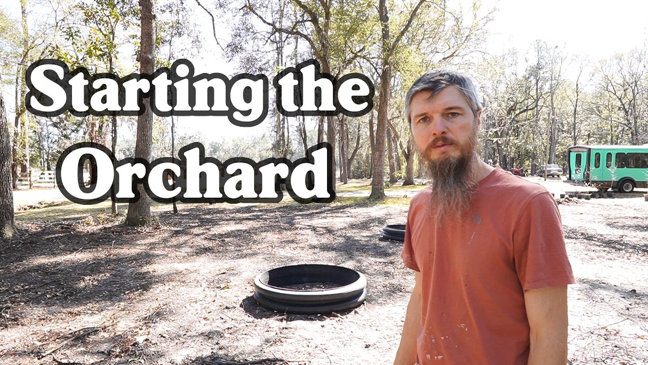 We made it Happen - Homestead: Stage 1