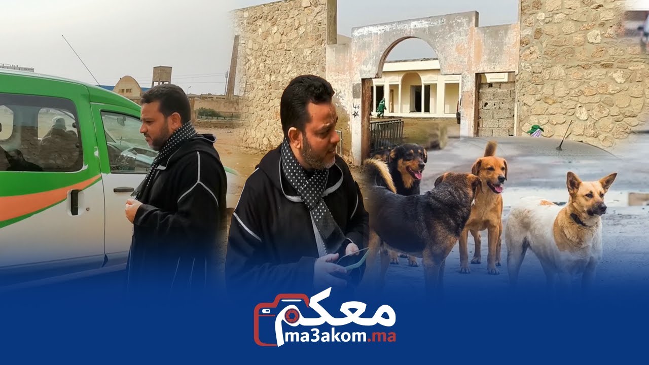 رغم التشويش الذي يتعرض له.. عمدة اسفي 
