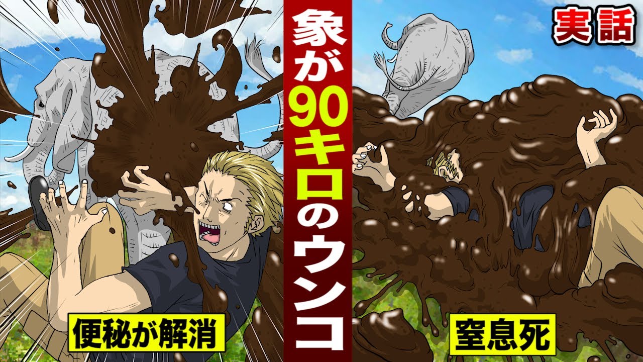 【実話】90kgの糞の下敷きに...ゾウの飼育員が窒息死した。便秘ゾウの恐怖。