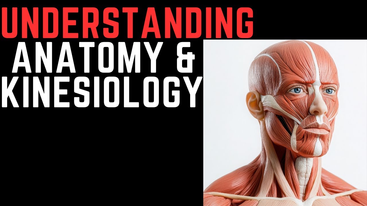 Your Body In Motion: Anatomy & Kinesiology Made Simple