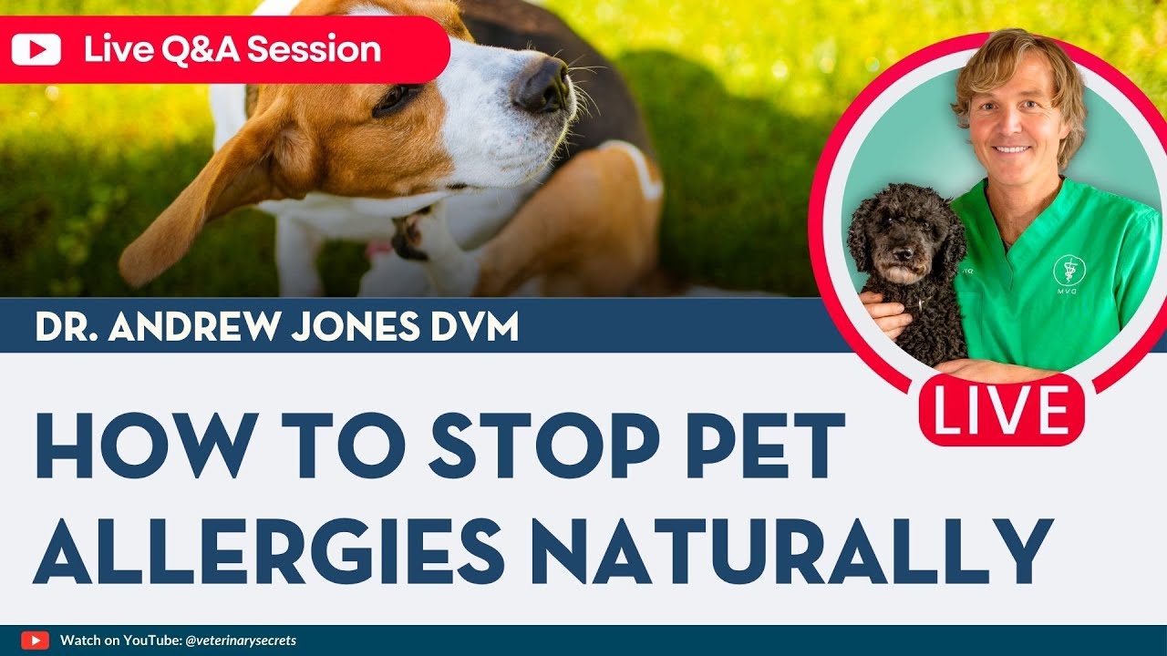 How to Stop Pet Allergies Naturally