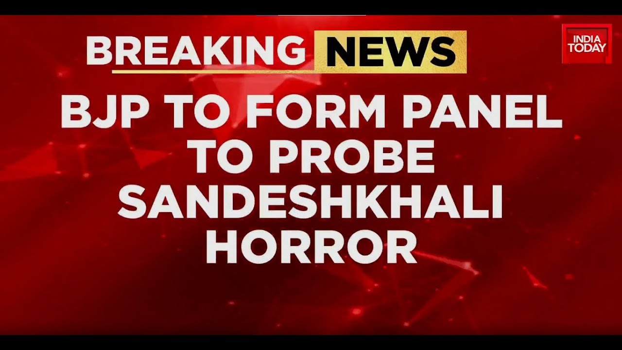 Sandeshkhali Horror: BJP President Forms Committee To investigate Sandeshkhali Incident