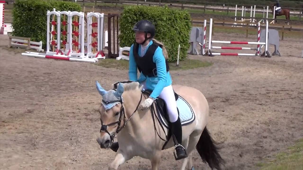 Ida og Fronar 60cm og 70 cm spring på STRK