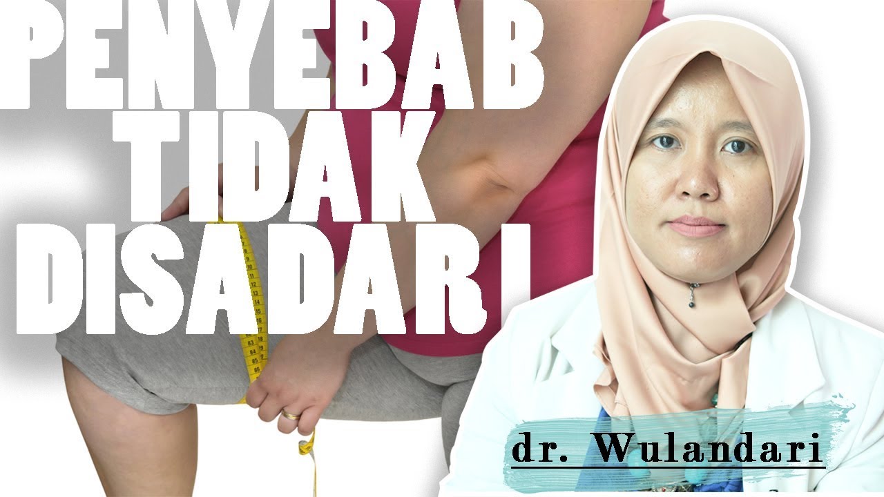 Bukan Makanan & Minuman Ini Penyebab Obesitas yang Tidak Disadari