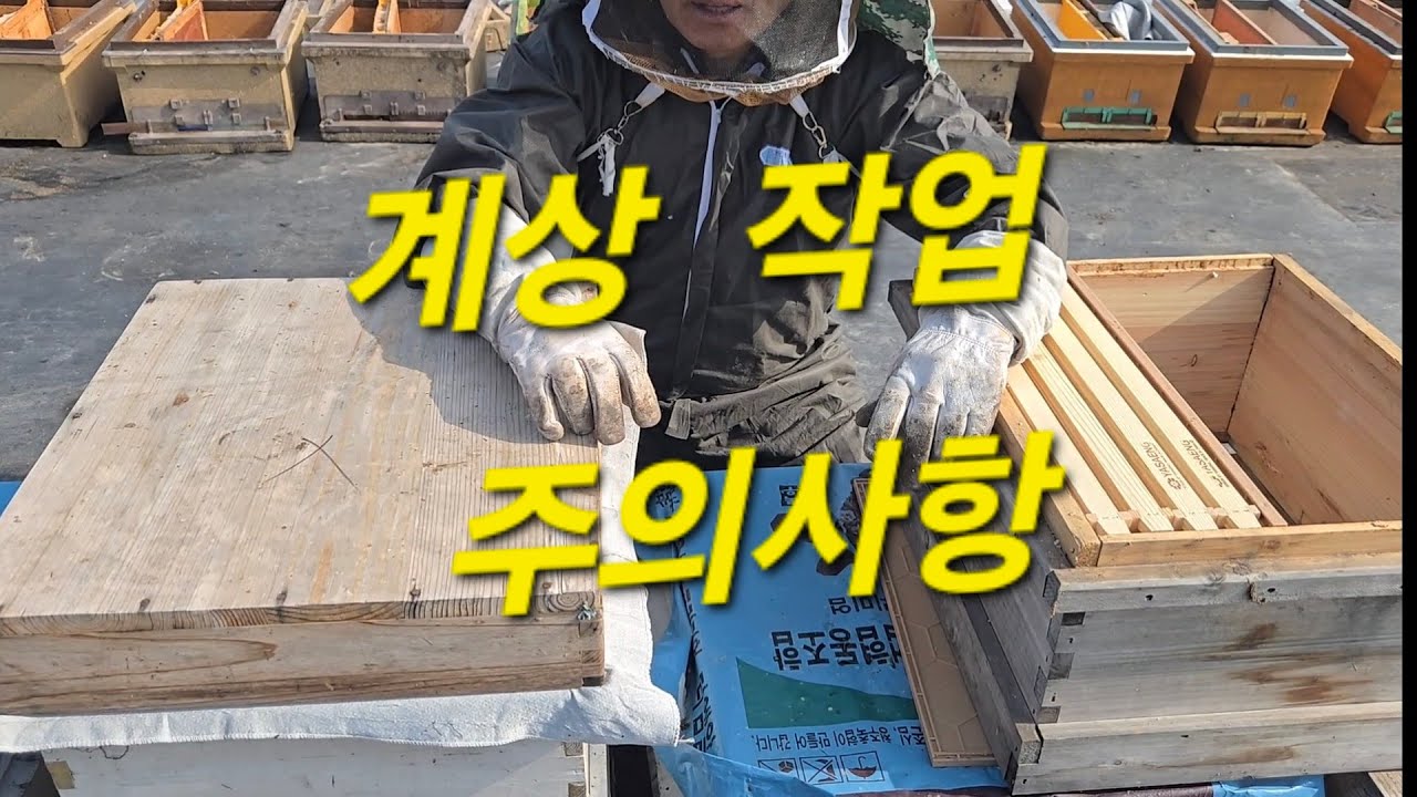 계상작업 주의사항 #분봉#여왕벌#양봉#꿀단지 