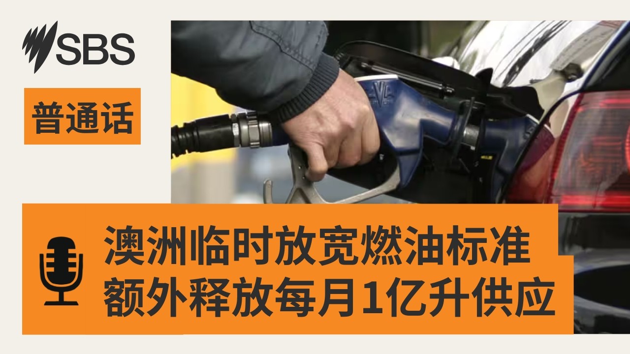 【SBS新闻快报】澳洲临时放宽燃油标准 额外释放每月1亿升汽油供应 | SBS Mandarin - SBS 普通话电台