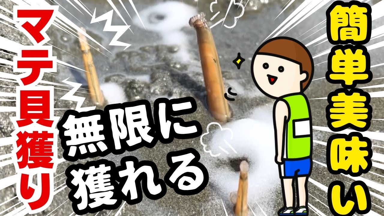 状況　野島公園　潮干狩り無料　マテ貝