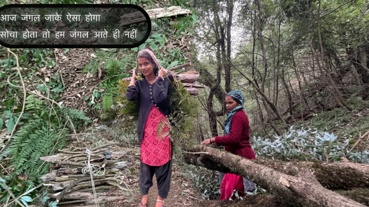 आज जंगल में जेठानीजी और मेरे पे हुआ हमला #vlog #viral 🥹🥹