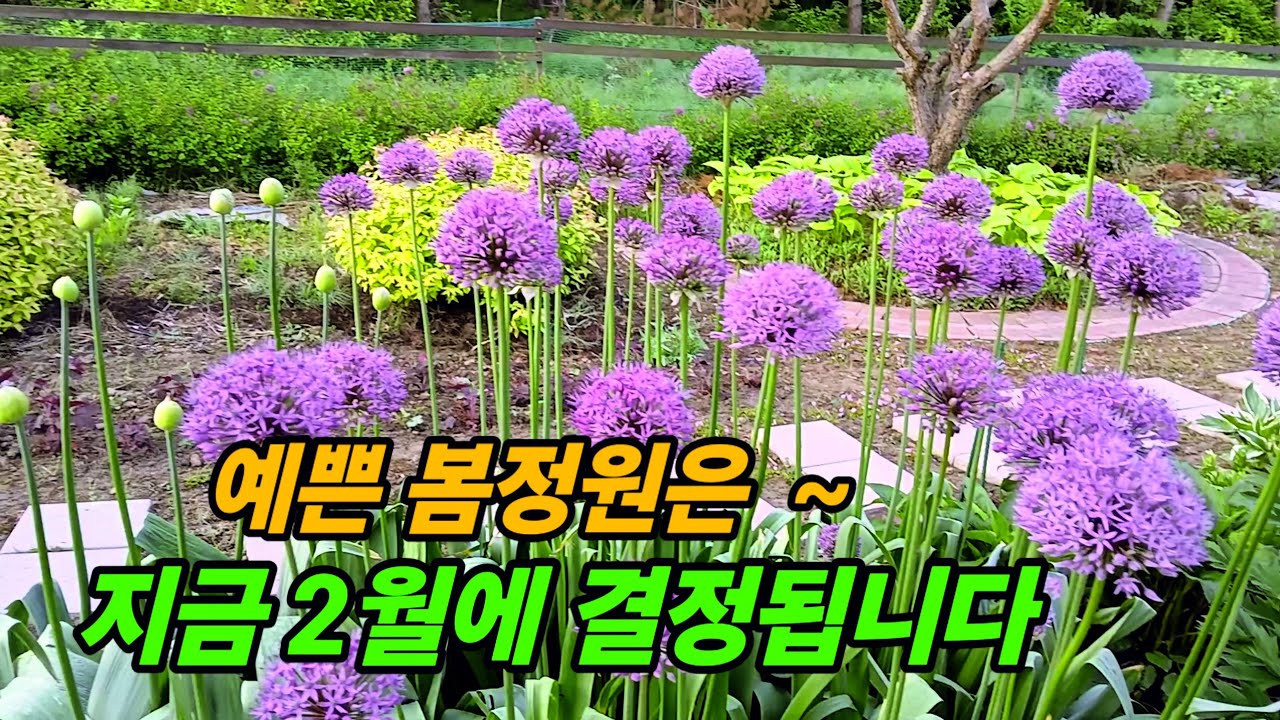 예쁜 봄정원을 위해서 지금 해야할일들ᆢ