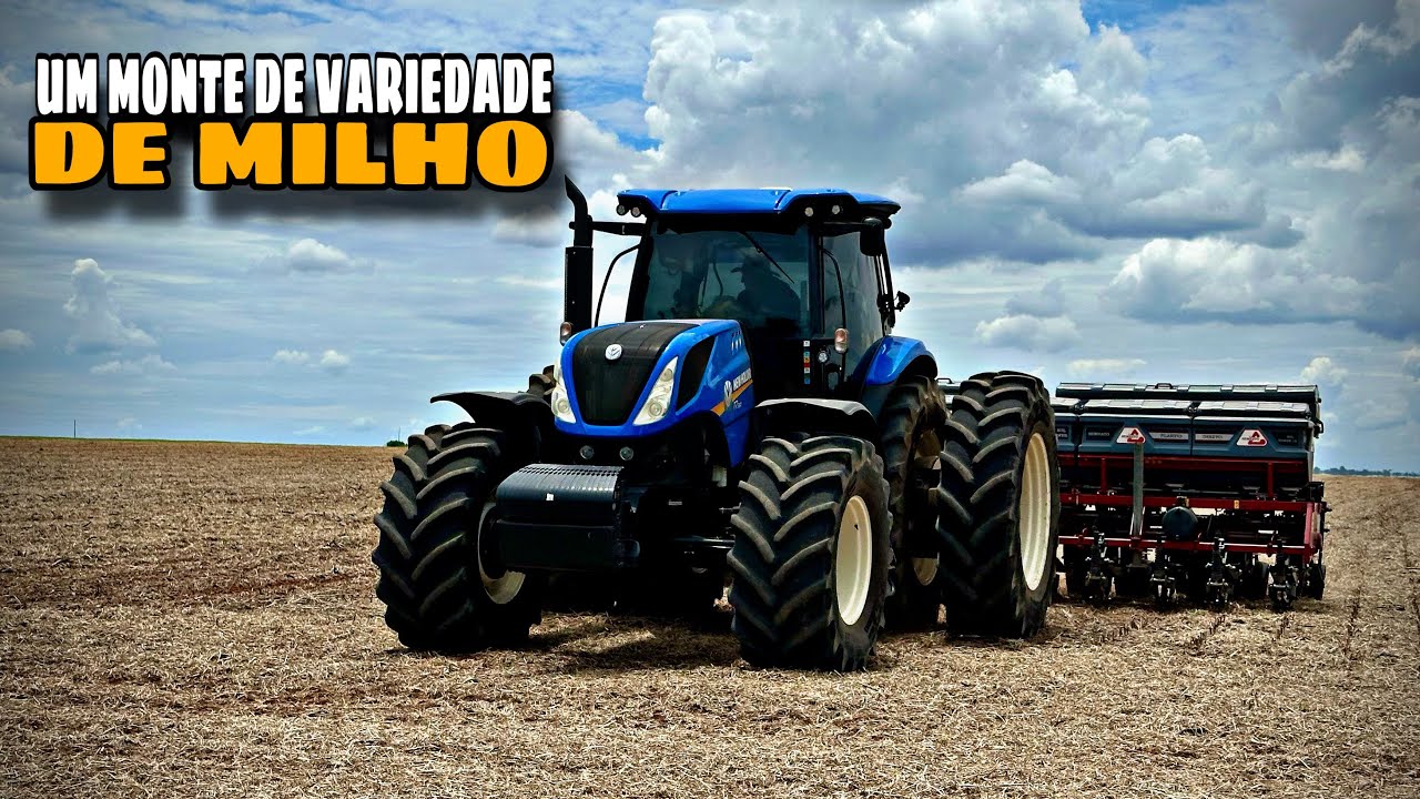 Plantio do Milho Safrinha | safra 2026