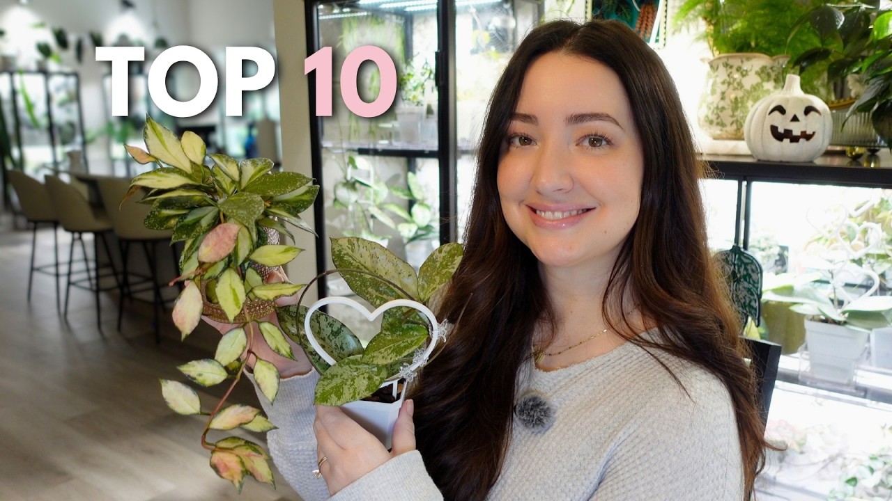 Ranking My Top 10 Favorite Hoya Right Now 🌿🌸