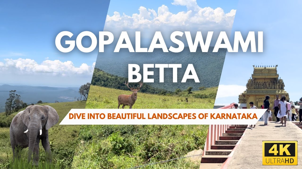 Gopalaswami Betta Temple: A Journey Through Wildlife & Serene Landscapes #scenicdrive