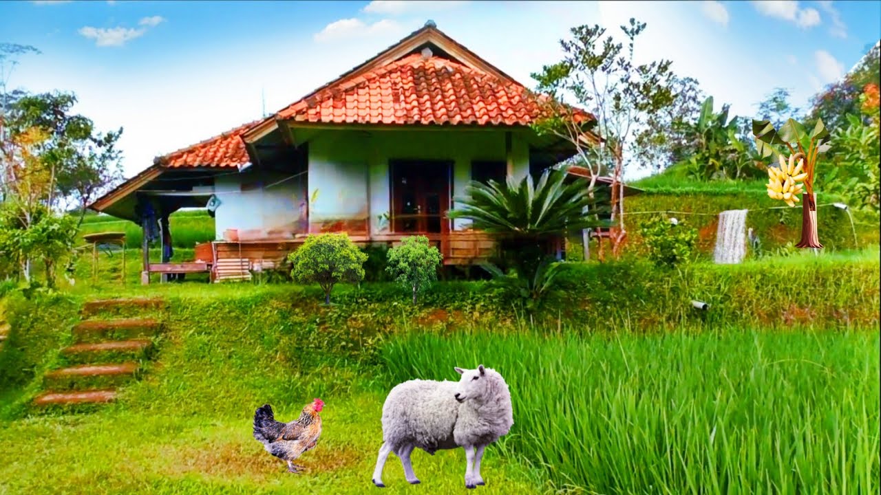 Enaknya Rumah panggung di sawah,penuh berkah! makanan pun berlimpah. 