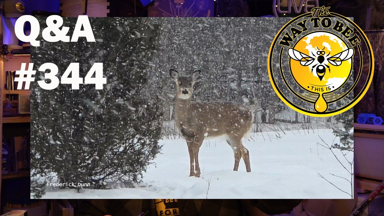 Backyard Beekeeping Q&A 344 Friday the 13th of February 2026