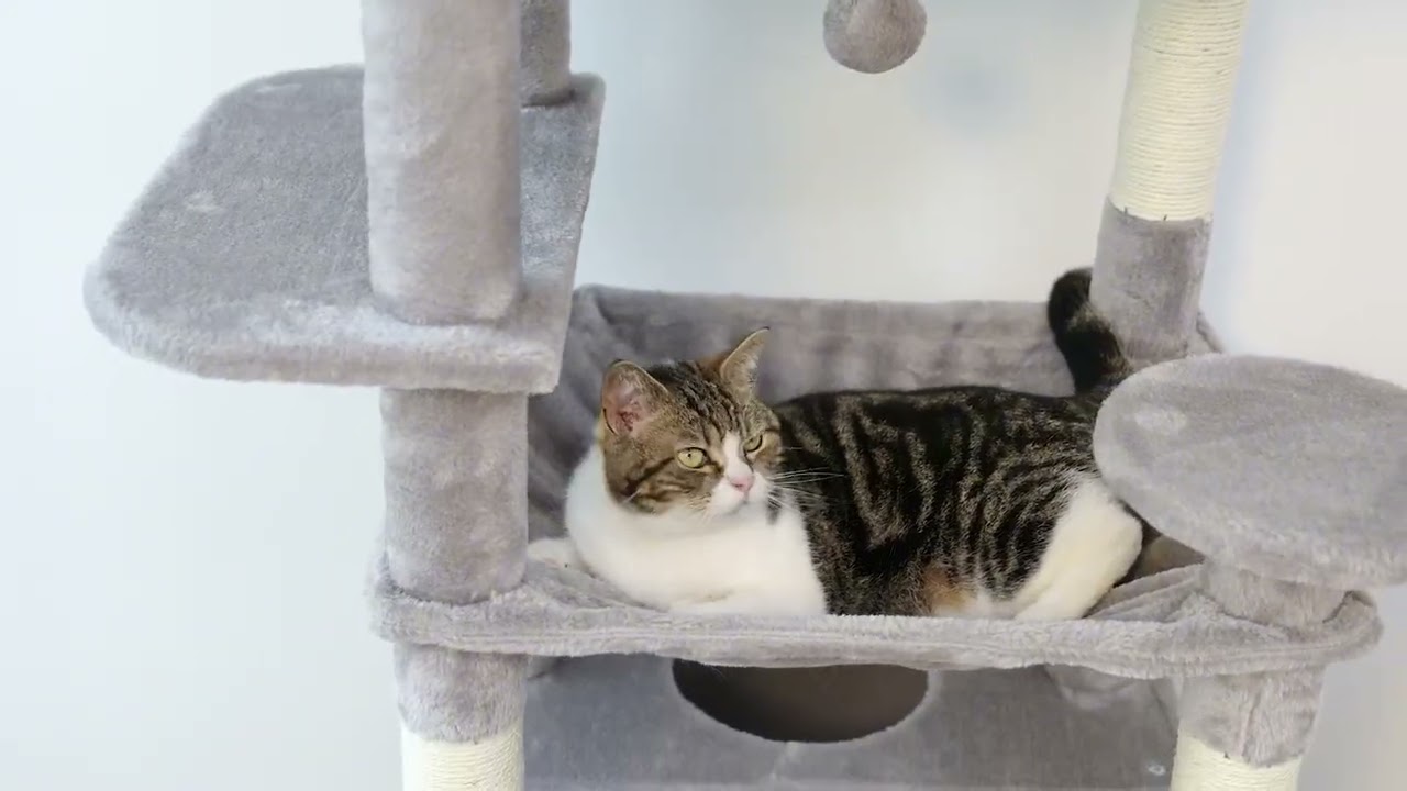 Large Cat Tree and Tower for Indoor Cats With Sisal-Covered Scrat