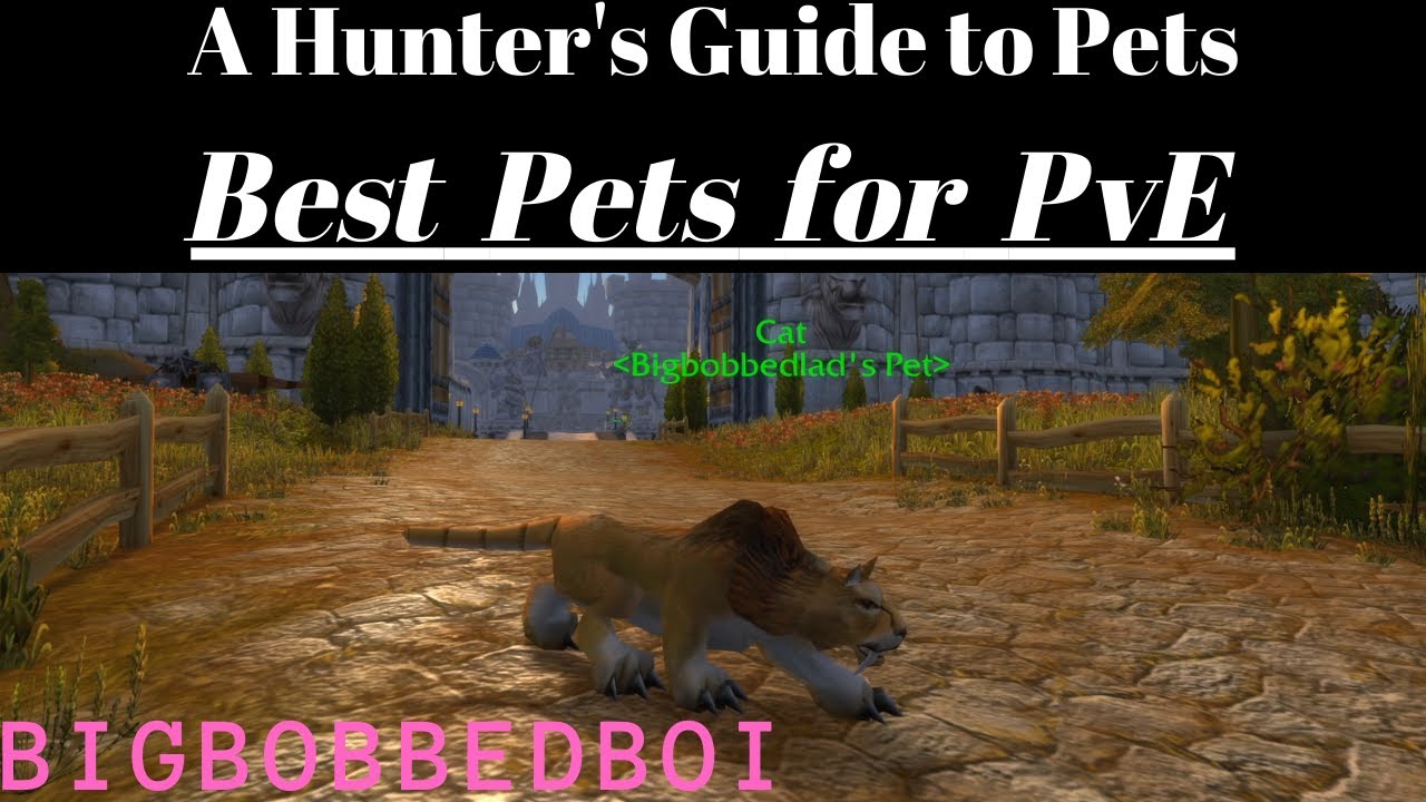 A Hunter's Guide to Pets: Best Pets for PvE | Classic WoW Tutorial