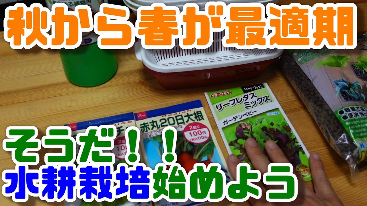【水耕栽培大学】水耕栽培を始めるなら今！！100均商品中心で水耕栽培をやってみよう