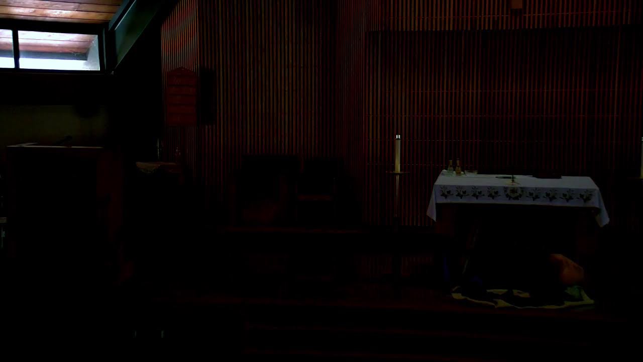 Daily Mass