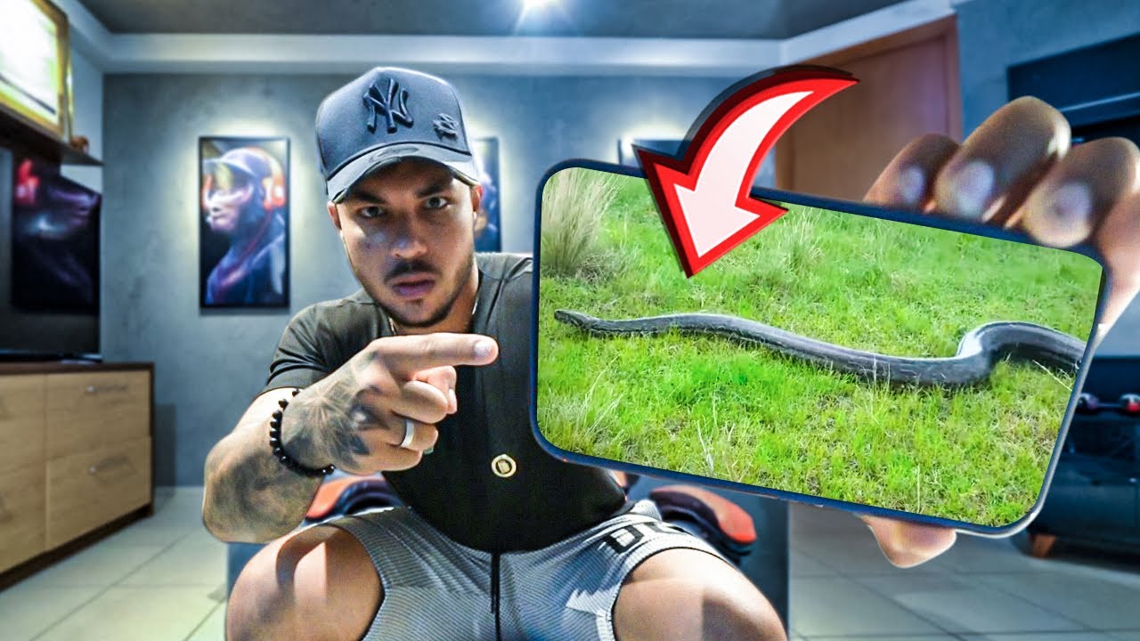 ENVIARAM ESSE VIDEO DA ANACONDA PRETA NA FAZENDA BLACKSTONE😱