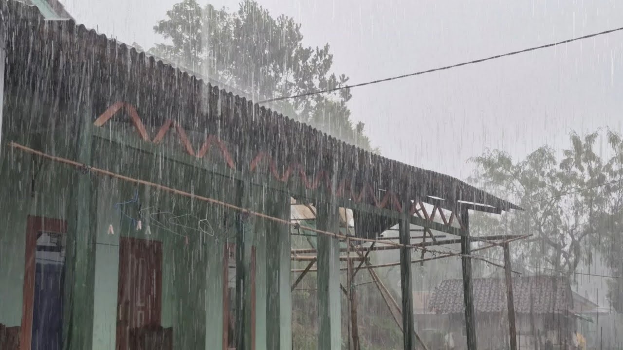 Natural Rain Sounds for Deep Sleep | Relieve Insomnia and Tinnitus