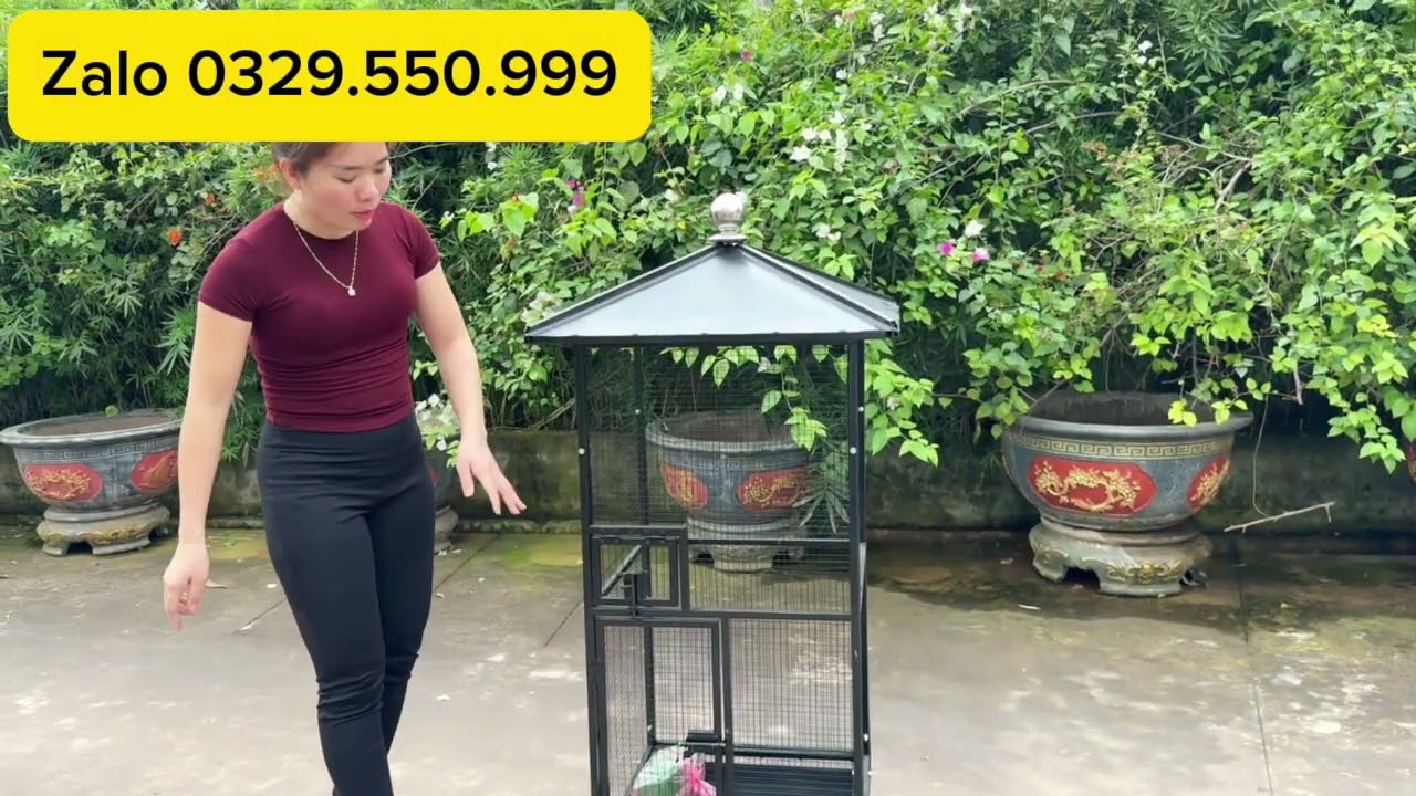 Mẫu avi rẻ nhất đẹp nhất nhỏ nhất và bán chạy nhất !