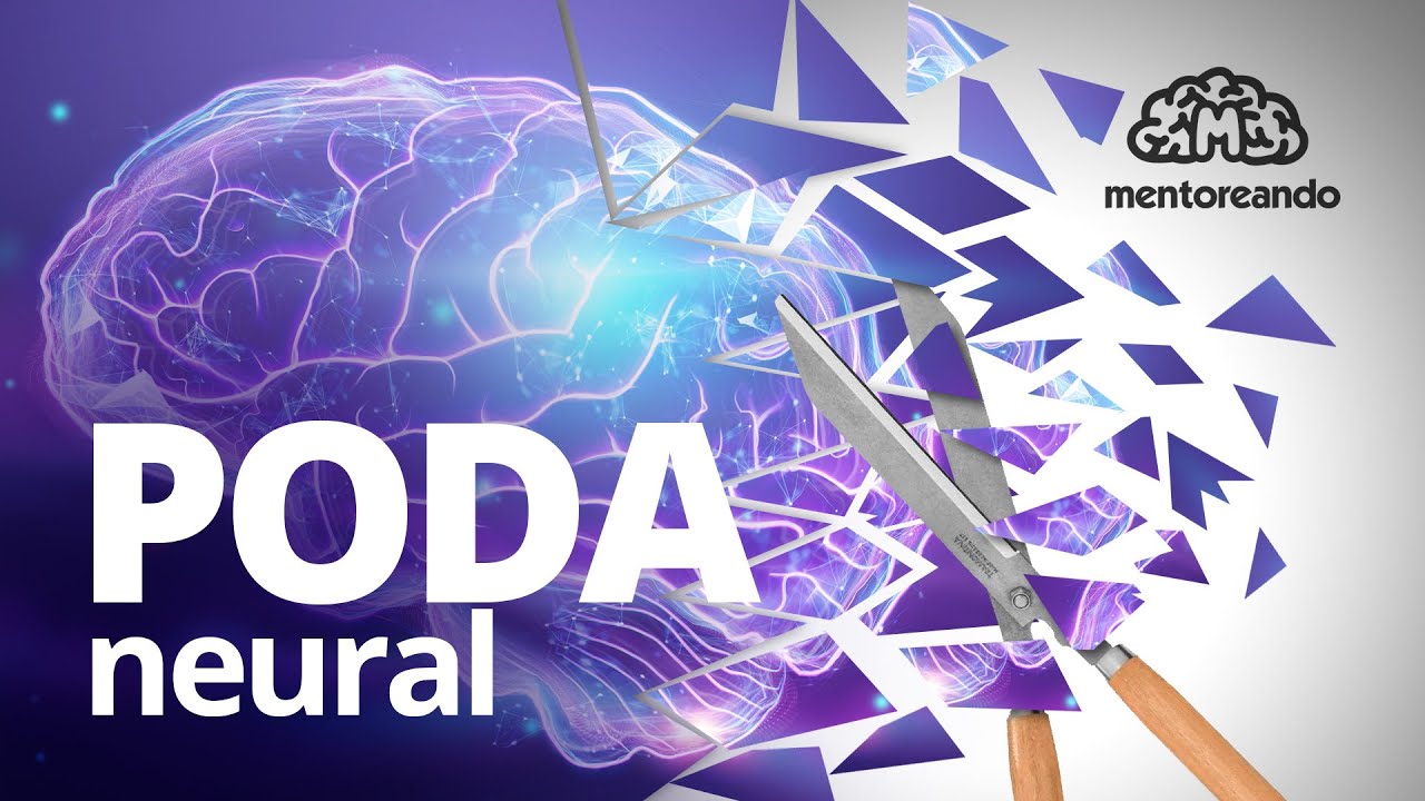 Poda Neural! Saiba o que &eacute; isso com o Dr. Natanael Mota