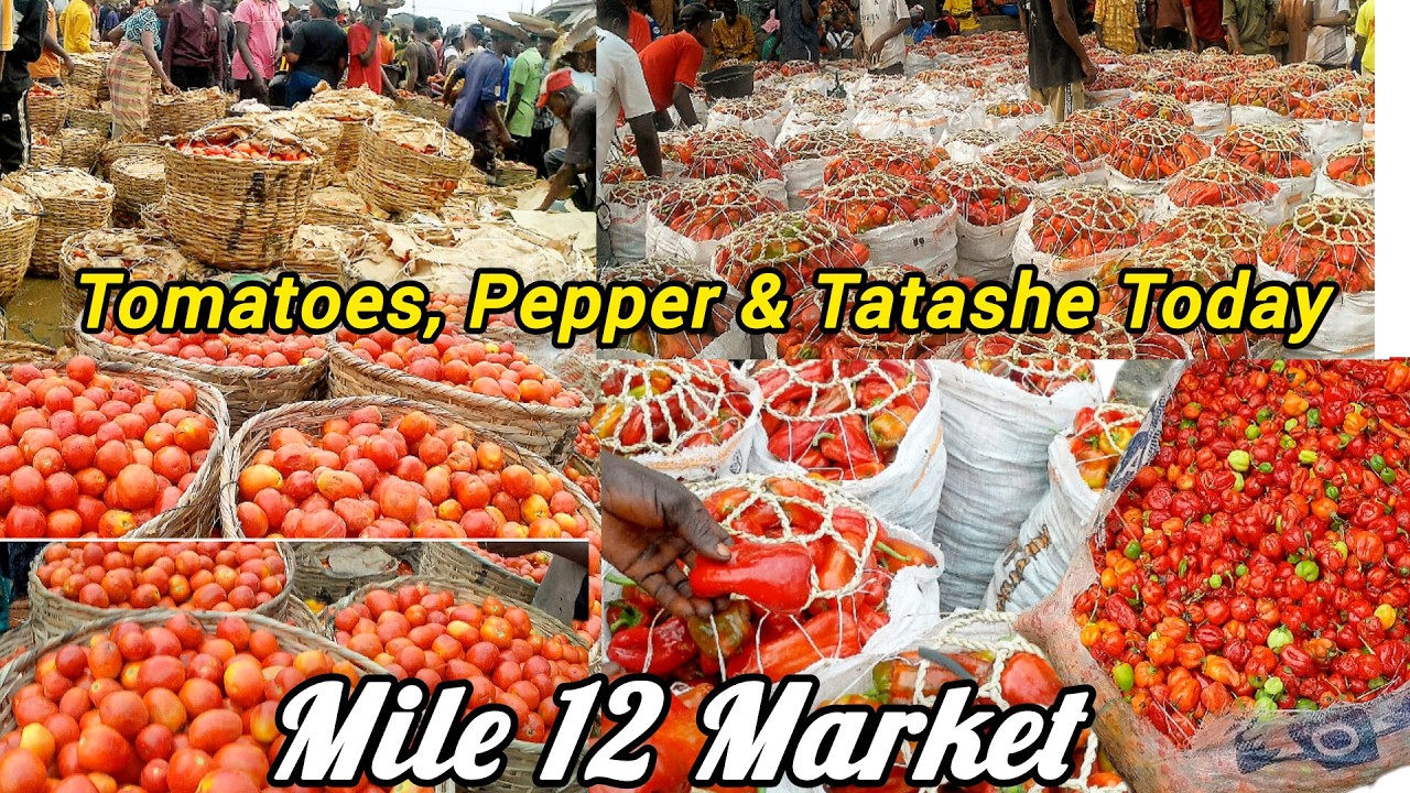 Shocking Food Prices in Mile 12 Market Lagos! Tomatoes, Yam, Pepper & Ogiri Market Run