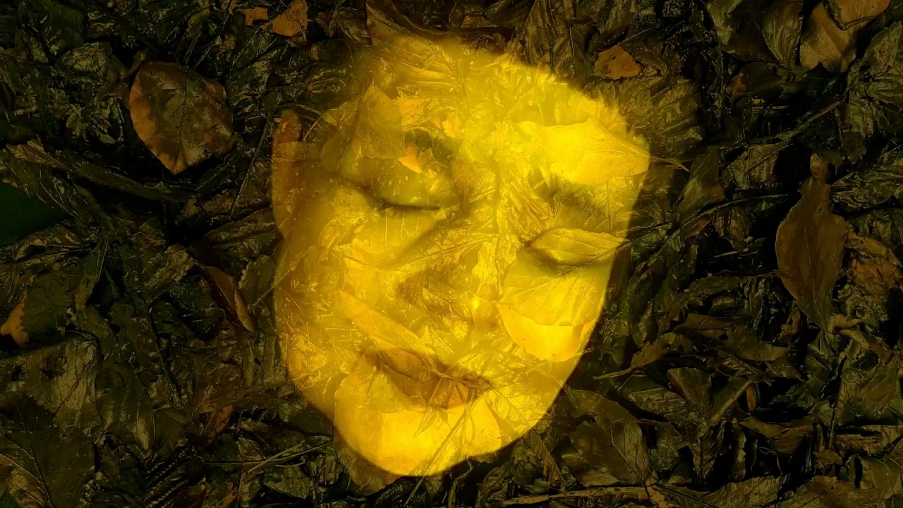 SPRATLEYS - KOIPTICS