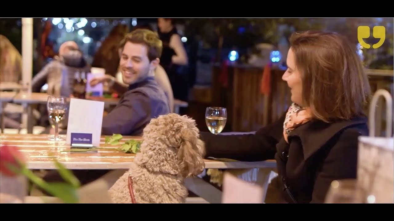 Pet Pavillion Speed Dating With Your Dog