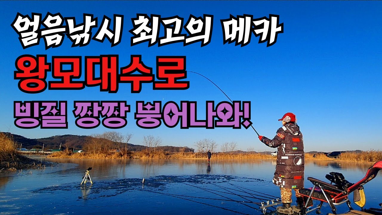 드디어 터지네요  경기권 얼음낚시 최고의 메카 왕모대수로 빙질 짱장