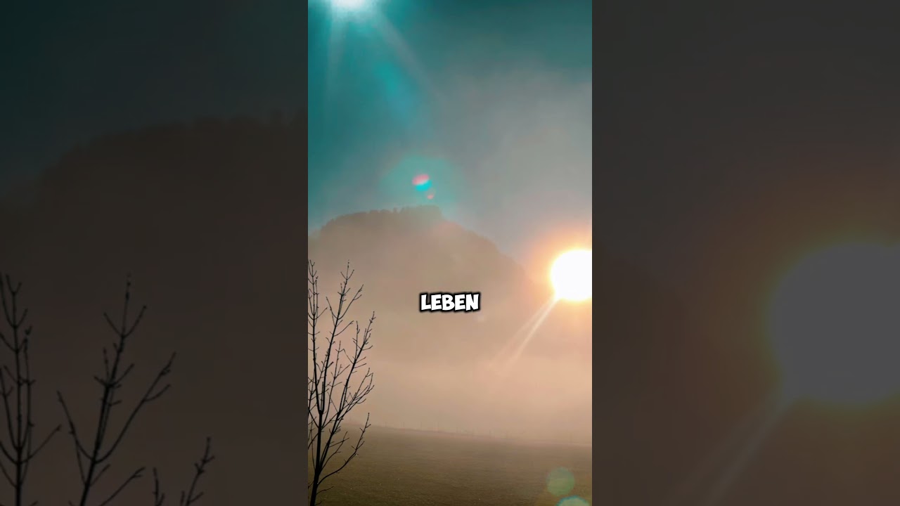 Guten Start ins neues Jahr 