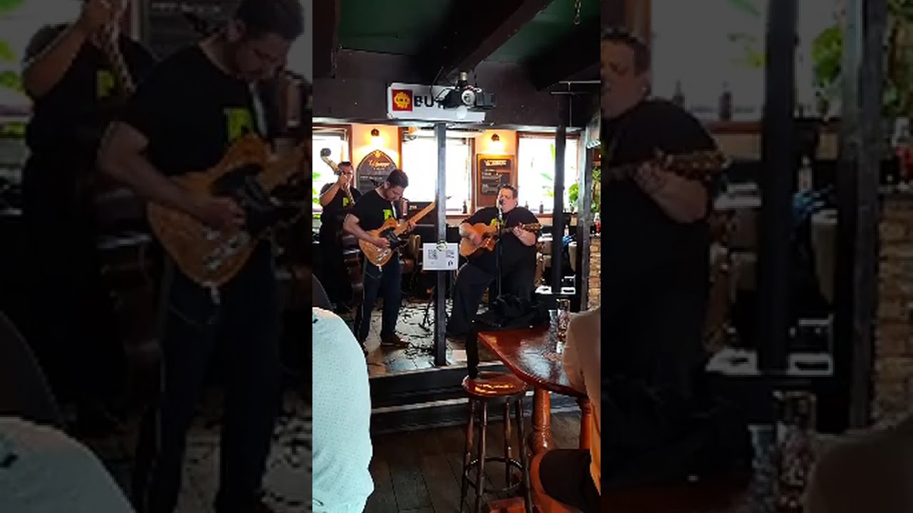 THE RHINE VALLEY RAMBLERS PART I