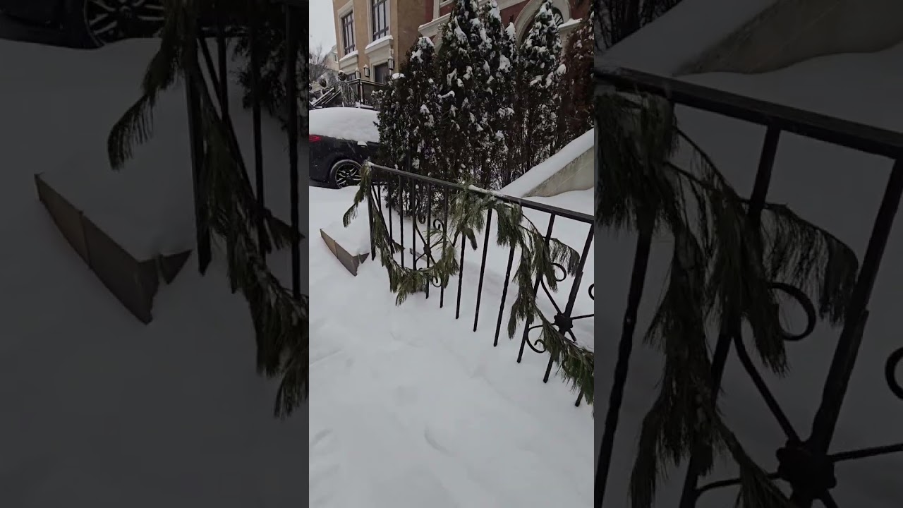 Снежный шторм Бруклин Нью-Йорк ❄️