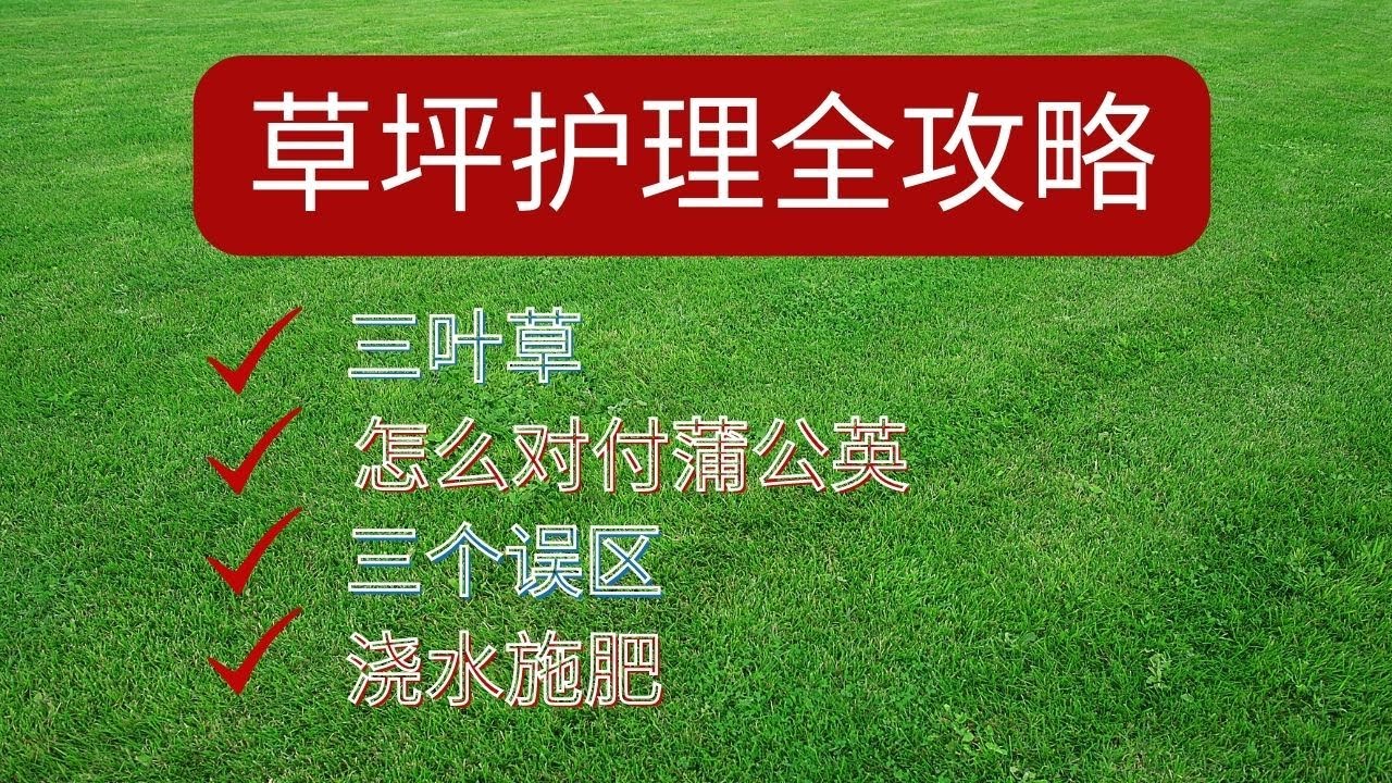 省心省力又环保的草坪维护全攻略: 草的生长周期；草坪维护的三个误区,如何浇水施肥？怎样处理割草留下的草屑？ 如何处理Thatch；怎样补草种？最佳的播种时间；如何处理三叶草和蒲公英?
