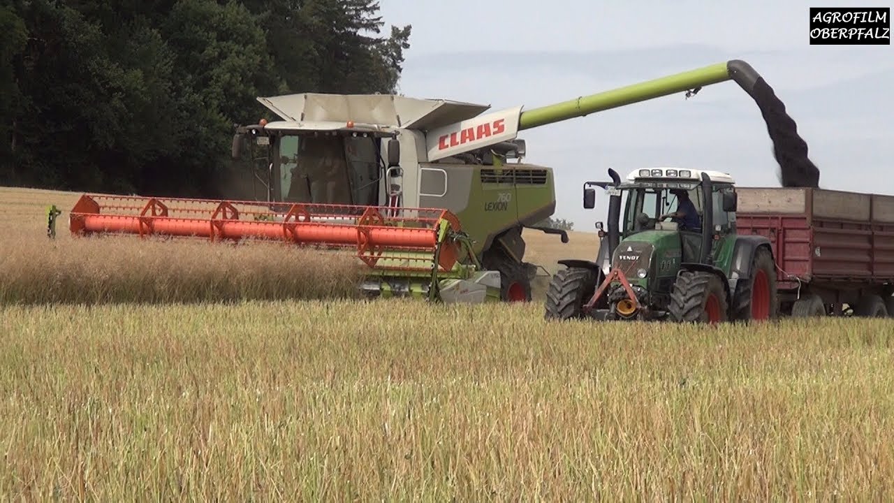 Rapsernte mit Claas-und Frauenpower - Claas Lexion 760 Terra Trac - LU Moro