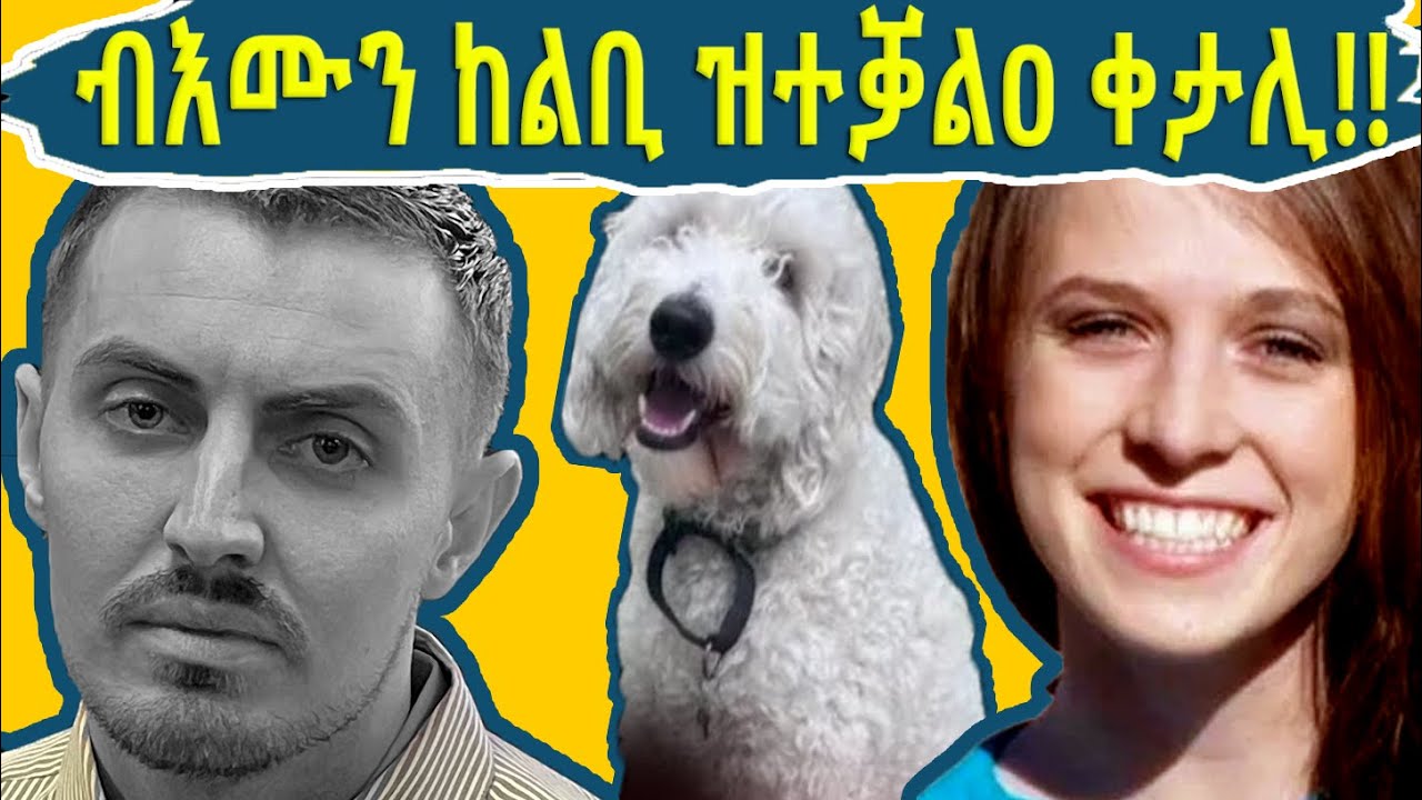 🔴ብእሙን ከልቢ ዝተቓልዐ ቀታሊ II ሓቀኛ ናይ ገበን ታሪኽ @BUFERI #eritreanmoviie #eritreancomedy #eritreanmusic