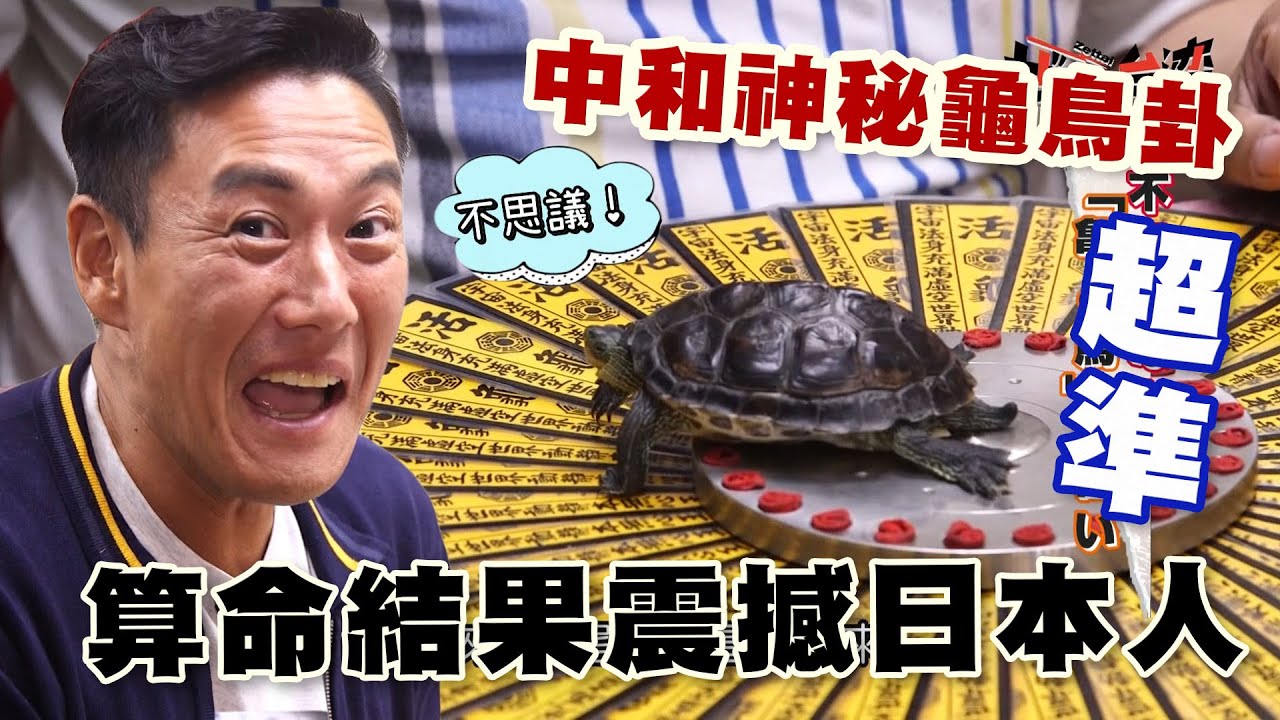 【精華版】中和神秘龜鳥卦 超準算命結果震撼日本人