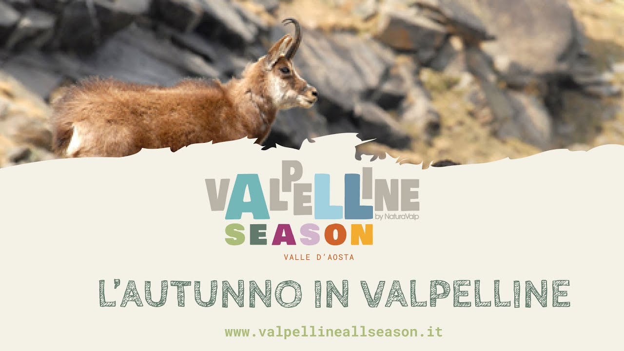 Autunno in Valpelline