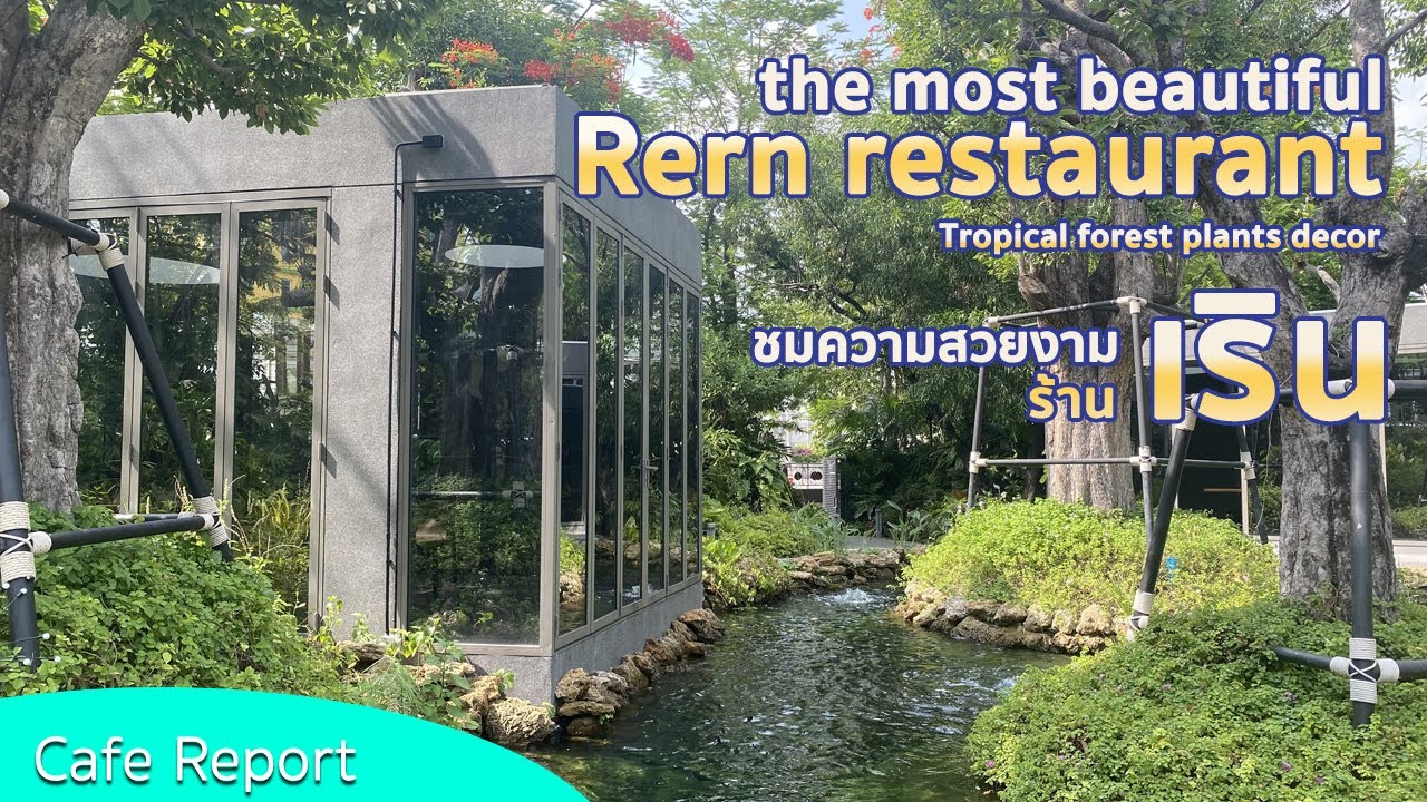 [Cafe Report] watch amazing cafe and restaurant 