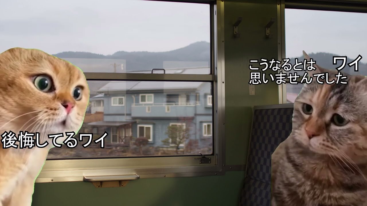 【猫ミーム】青春18きっぷを使った旅行をする鉄オタあるある