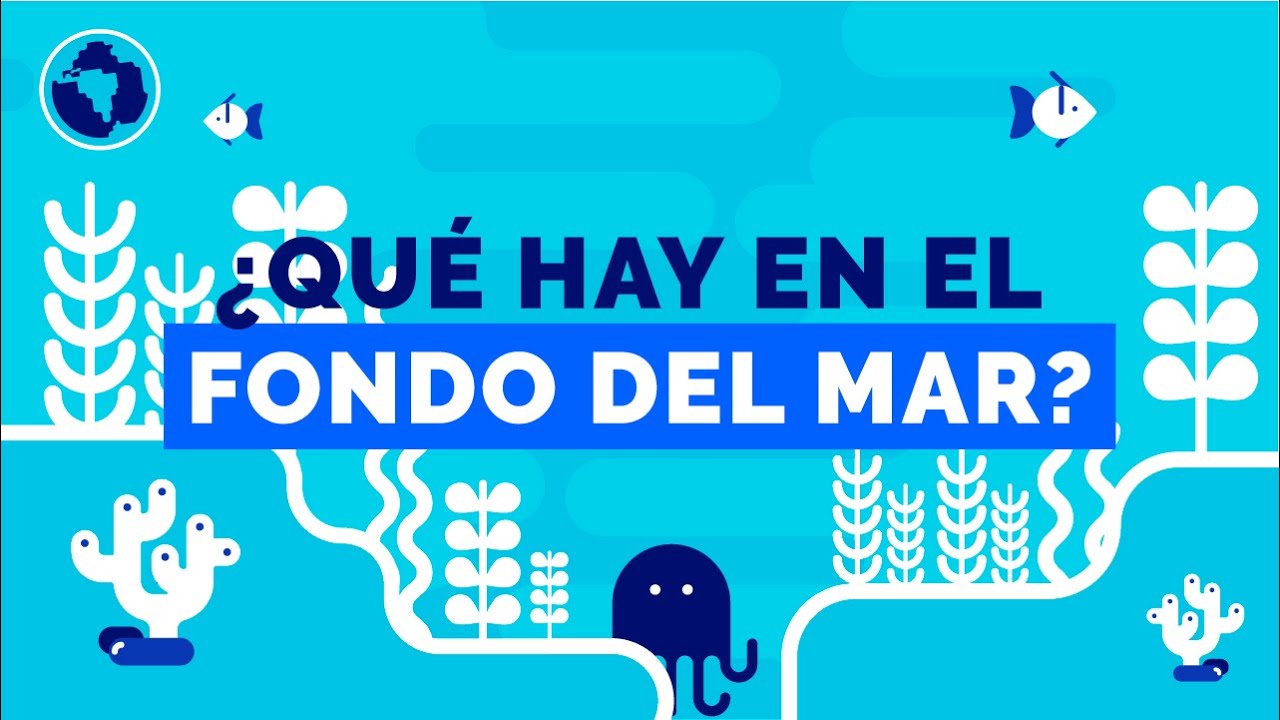 Los misterios bajo las profundidades del océano