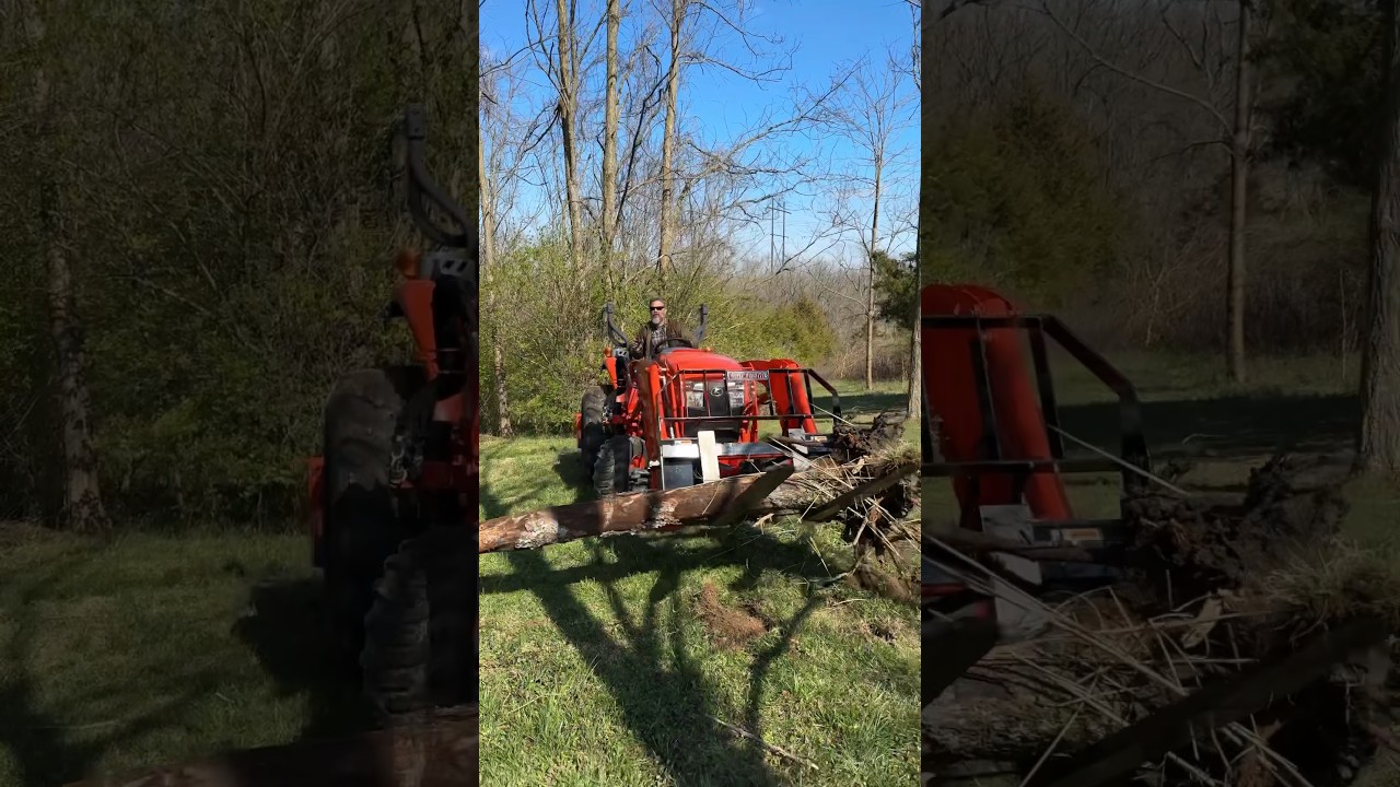 Pallet Forks Are A Great Investment! #compacttractor #shorts #landpride