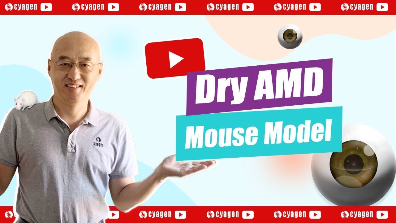 How to develop a dry AMD mouse model？