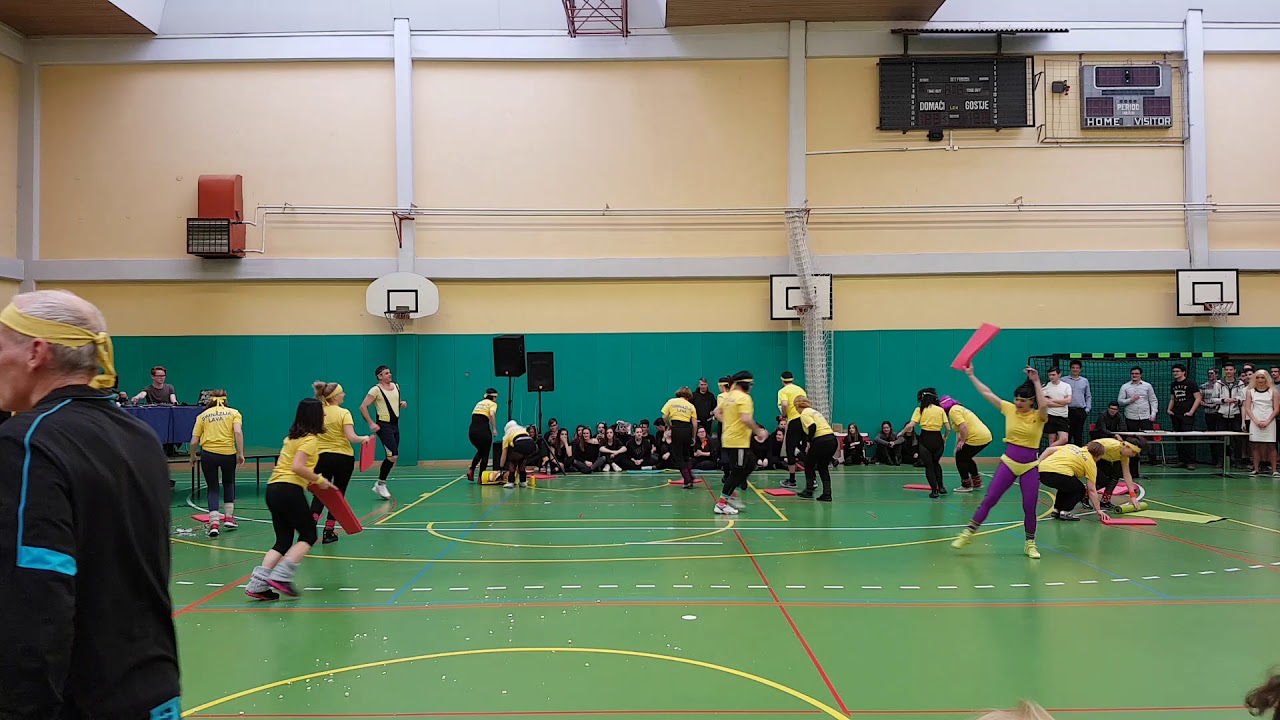 Aerobic team Gimnazija Lava show🤓