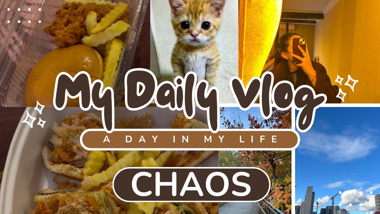 Kyu itne din se vlog nahi banaaya | a week in my life | 🎀🎀 | chaos | fun