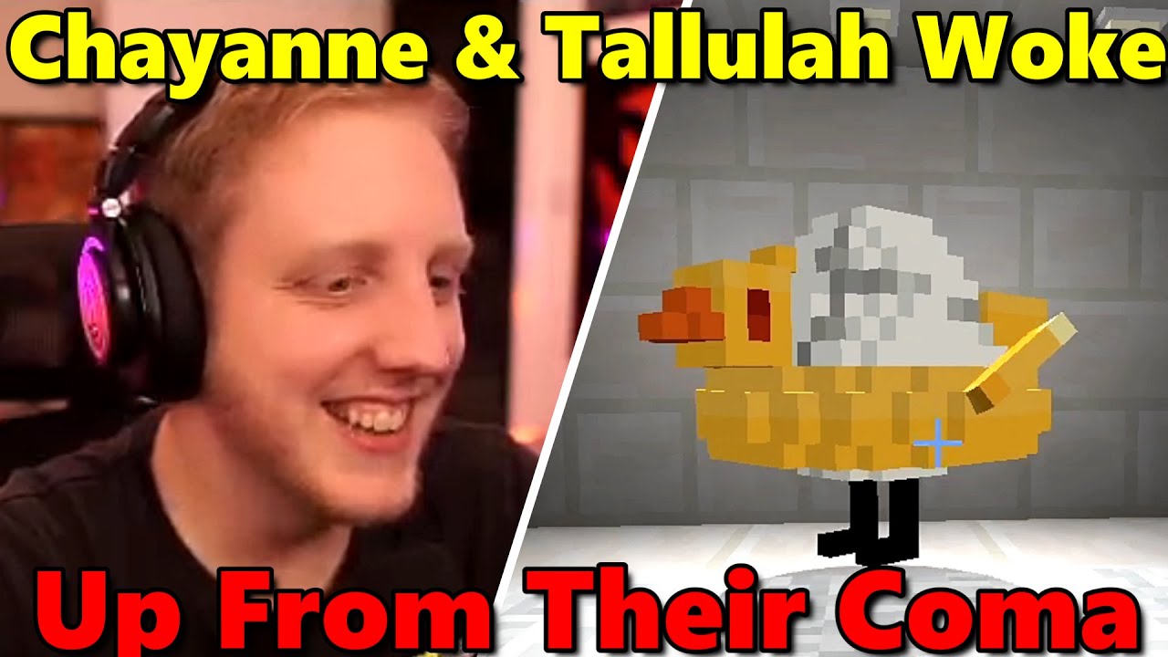Philza Reunites WITH Tallulah & Chayanne after they woke from their coma on QSMP Minecraft