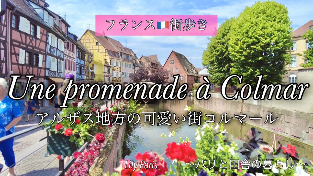 【今日のフランス🇫🇷街歩き】まるで絵本の世界📕アルザス地方コルマールをお散歩